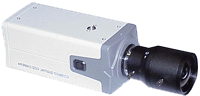 COLOR DIGITAL CCD CAMERAS