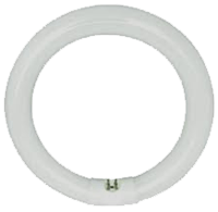 CIRCLINE FC8T9/D FLUORESCENT BULB