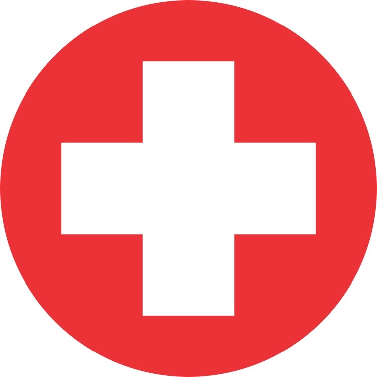 ZIMMER BIOMET PALACOS MVG RADIOPAQUE BONE CEMENT WITH GENTAMICIN
