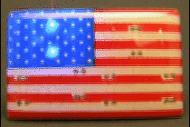 USA FLAG PIN
