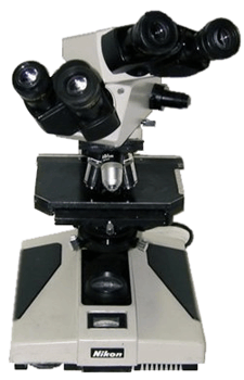 NIKON  DUAL HEAD MICROSCOPE